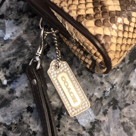 Coach Python Clutch - Picture 2 of 15